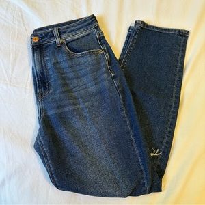 American Eagle Mom Jeans